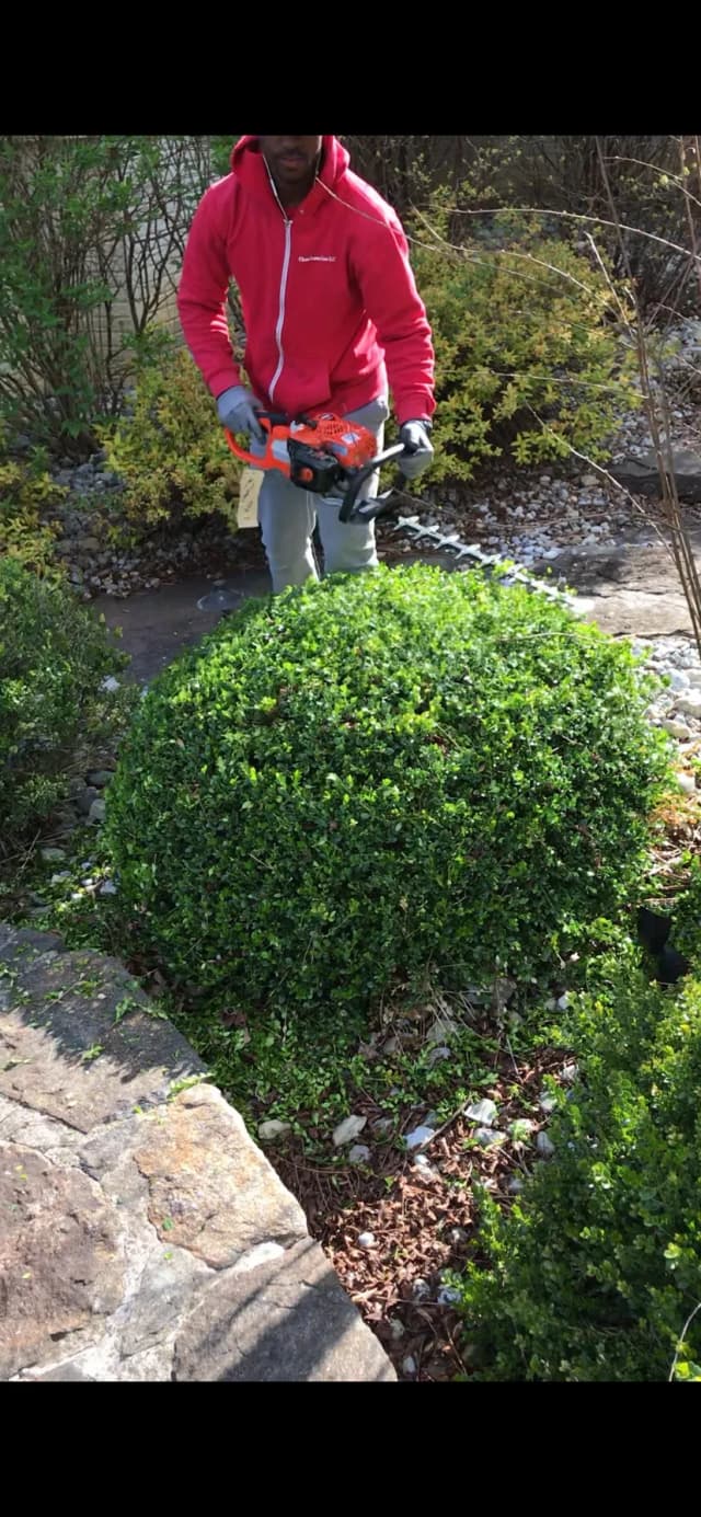 Tree & Shrub Services | Expert Landscaping - Chase Lawn Care