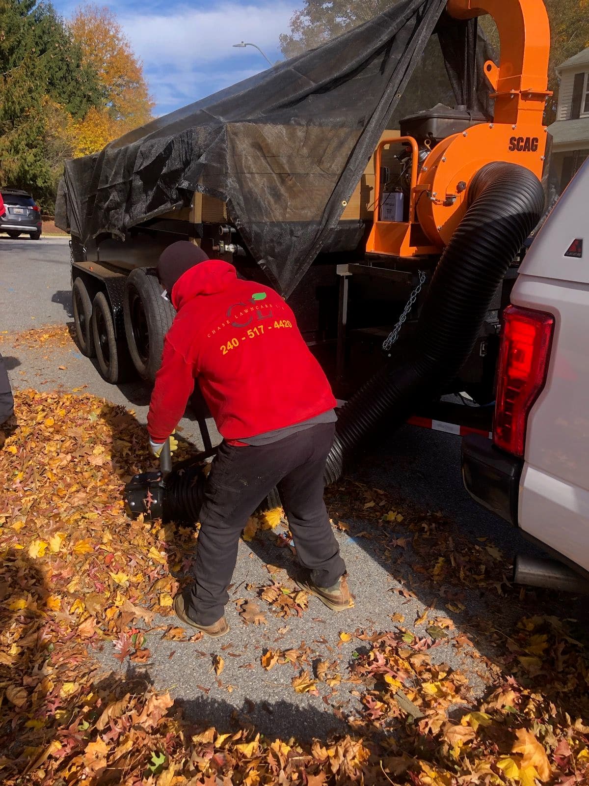 Leaf Removal Action in Owings Mills image