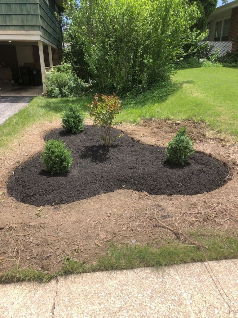 Stylish Kidney-Shaped Mulch Bed Transformation